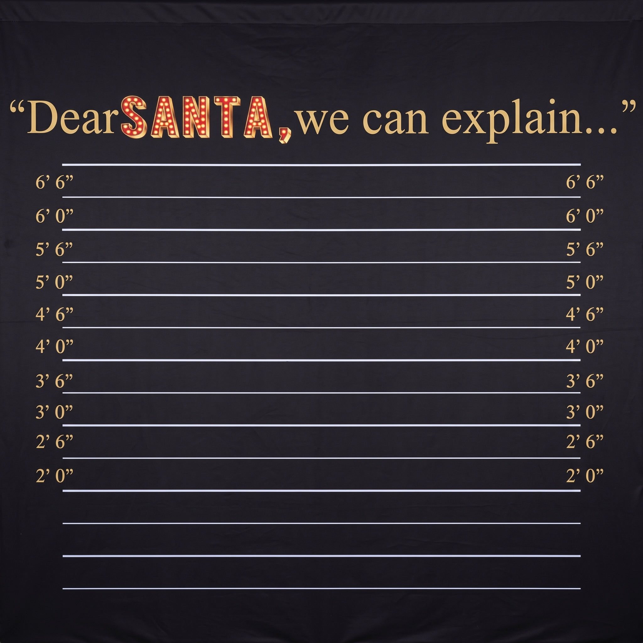Dear Santa Mugshot Christmas Backdrop